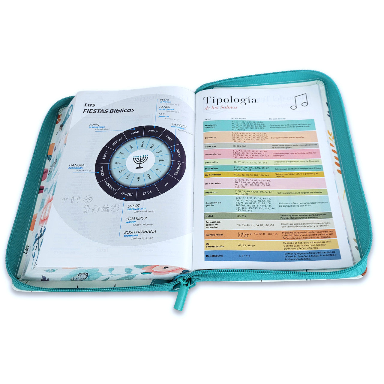 Biblia RV60 065czti PJR CP Jardin turquesa