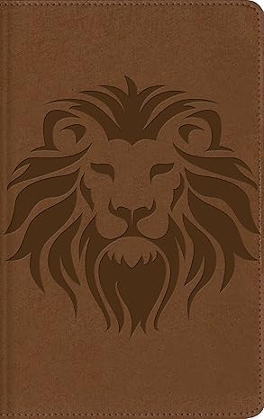 Biblia Visual De Estudio Para Niños NBLA