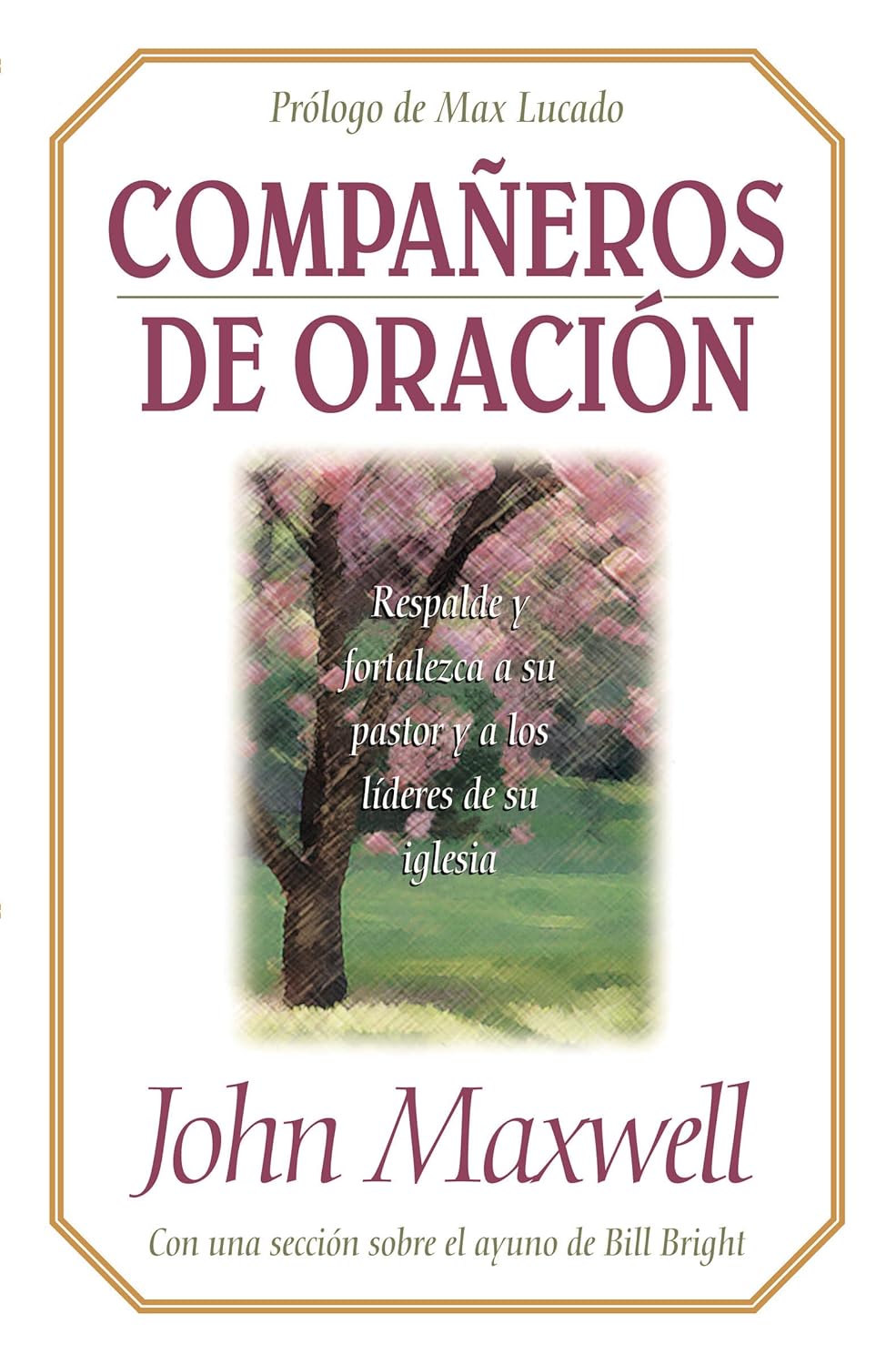 Libro Companeros De Oracion John C. Maxwell