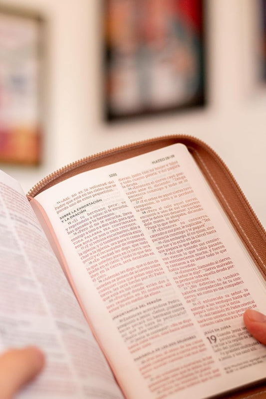 Biblia, Bolsillo Zipper LS, NBLA