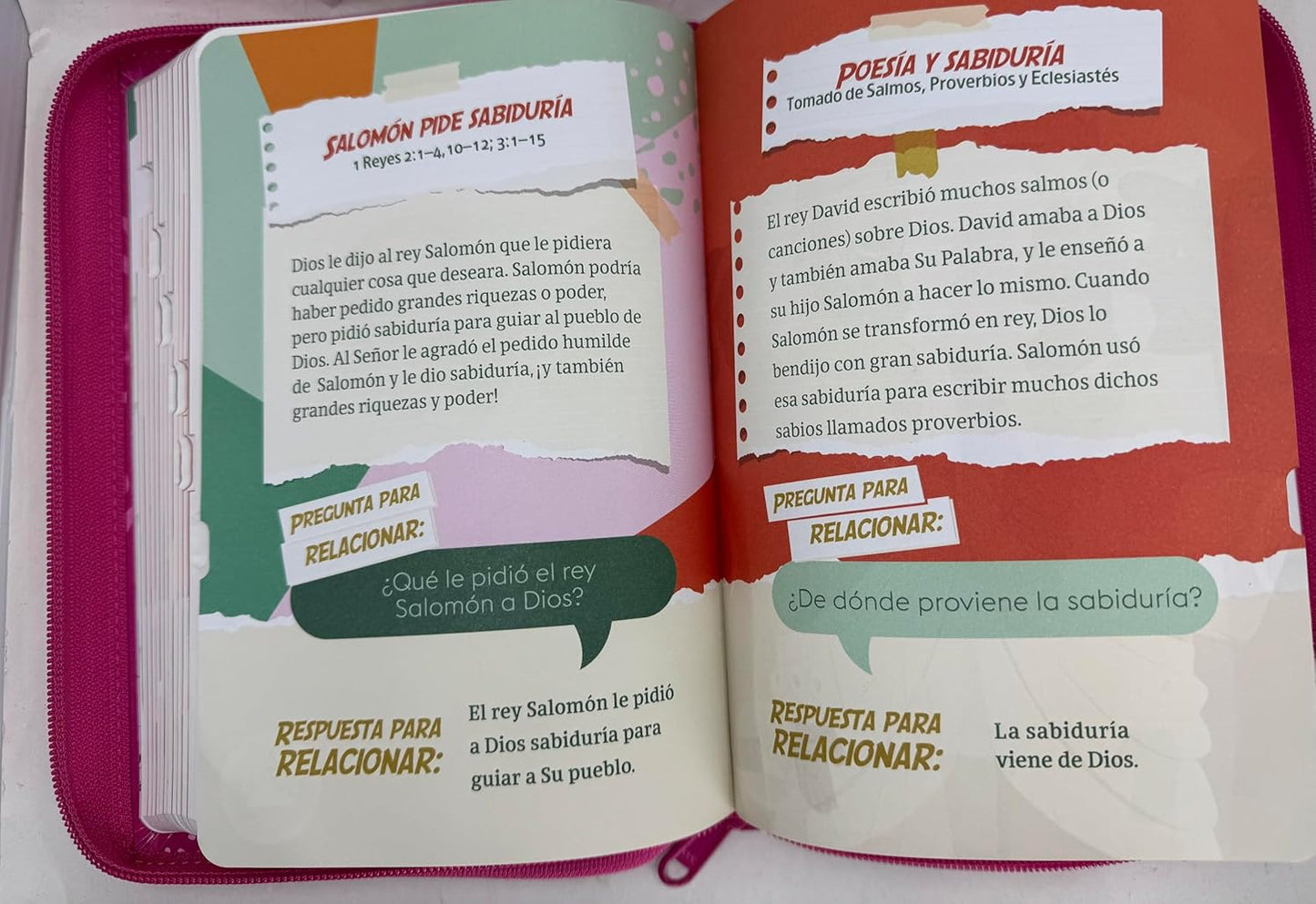 Biblia Letra Grande Rosa Para Niñas, Interactiva Símil Piel Con Cierre Indice, RVR1960