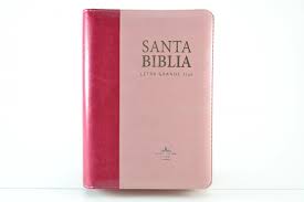 Biblia, Color Rosa, Canto Plateado, Sensipiel, Tapa Acolchada, Con Cierre, Letra Grande, Rv1960