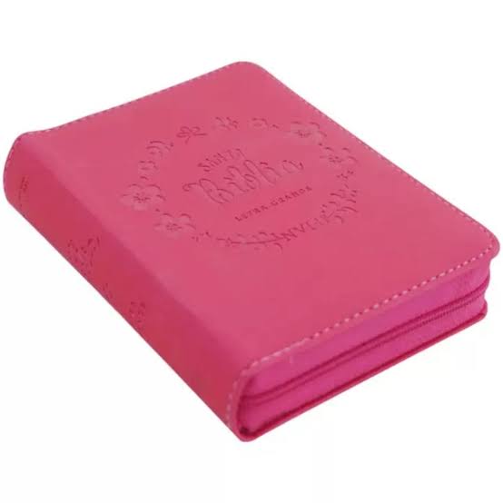 Biblia Fucsia Tornasolado Con Cierre - Nvi