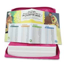 Biblia Para Niños Interactiva Edicion Limitada, Tamano Manual Con Cierre, Rosa, RVR 1960
