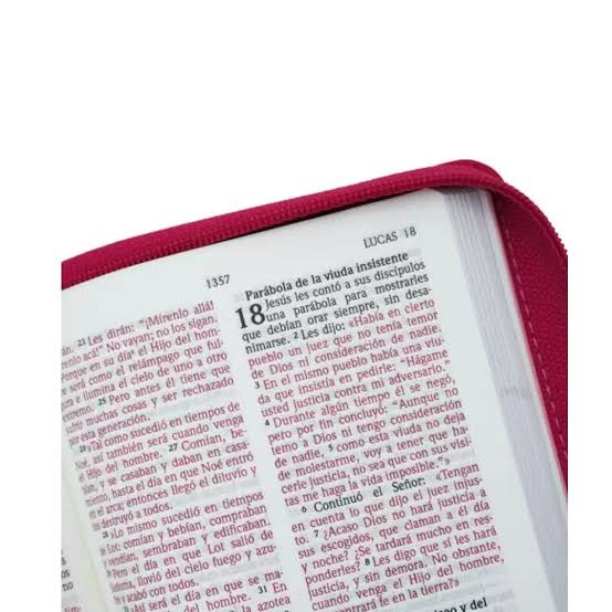 Biblia Fucsia Tornasolado Con Cierre - Nvi