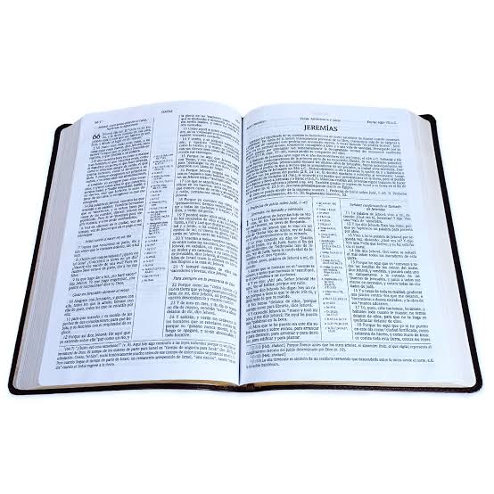 Biblia De Estudio Scofield RVR 1960
