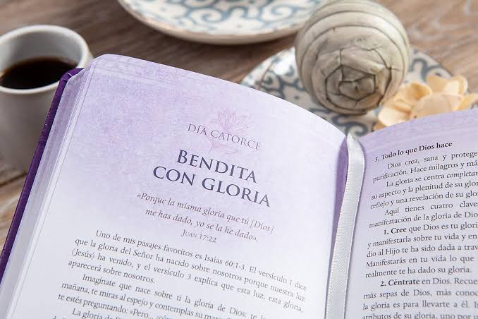 Libro 31 decretos de bendición para las mujeres - Patricia King