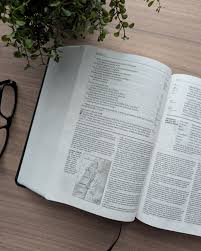 Biblia de referencia en la columna central, letra grande con Filament (SentiPiel, Café, Letra Roja), NTV