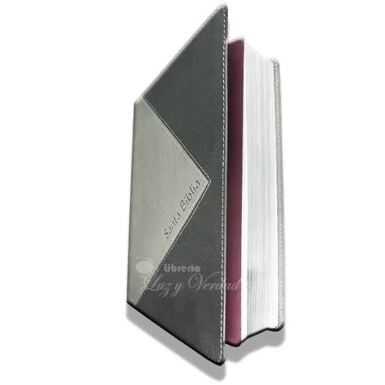 Biblia Thompson Referencias Piel Gris- Rvr 1960