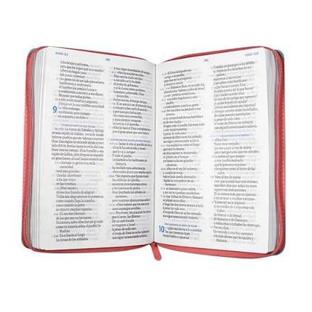 Biblia, Bicolor, Verde Menta Rosa, Canto Plateado, Tla