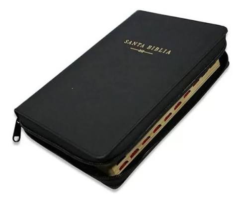 Biblia Letra Grande, Tamaño Manual - Rvr 1960