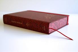 Biblia, Biblia De Apuntes, Tapa Dura, Vino Tinto, Canto Pintado, RVR1960