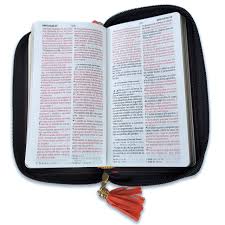 Biblia Chequera Para Mujeres, Senti Piel Coral y Gris Claro, Con Cierre, Lazo y Agarradera de Mano, RVR 1960