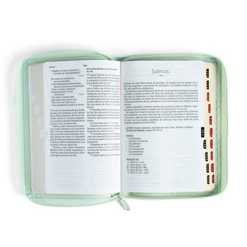 Biblia RVR1960 letra grande tamaño manual, menta