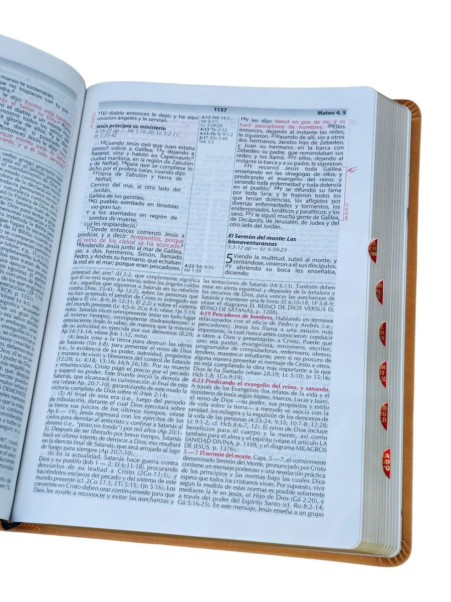 Biblia Vida Plena - Ampliada (Imitación piel marrón), Donald Stamps