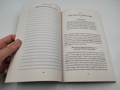 Libro 100 Dias de Favor  Lecturas Diarias De Favor Inmerecido -  Joseph Prince