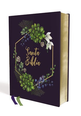 Santa Biblia Artística , NVI