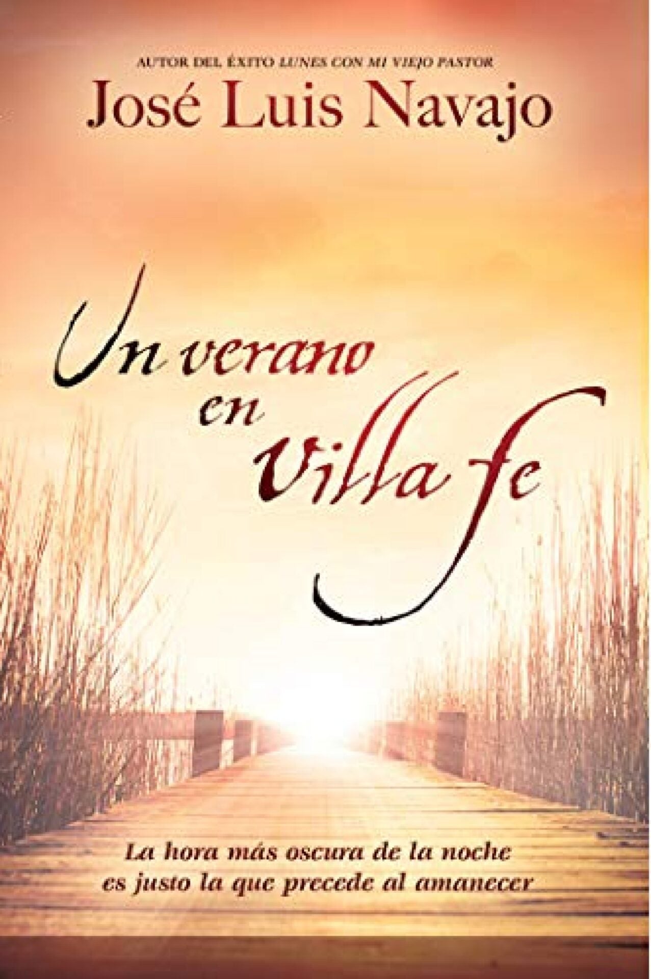 Libro Un Verano En Villa Fe, José Luis Navajo
