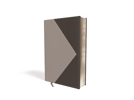 Biblia Thompson Referencias Piel Gris- Rvr 1960