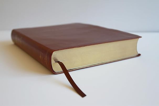 Biblia, Biblia Reina Valera, Letra Super Gigante, Simil Piel, Marron, RVC