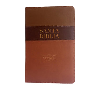 Biblia Tricolor café/café/marrón, RVR060