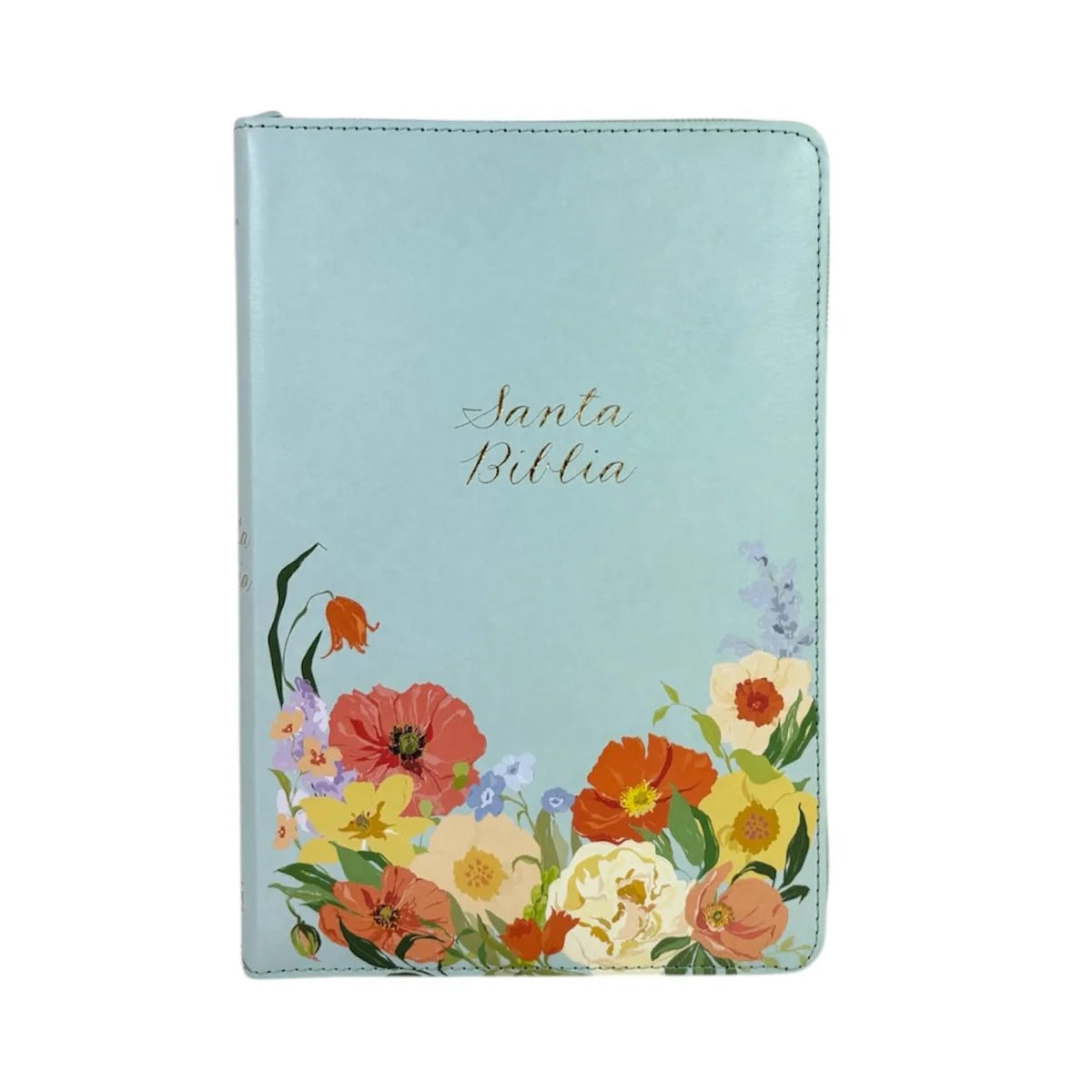 Biblia RVR1960 letra grande tamaño manual, menta
