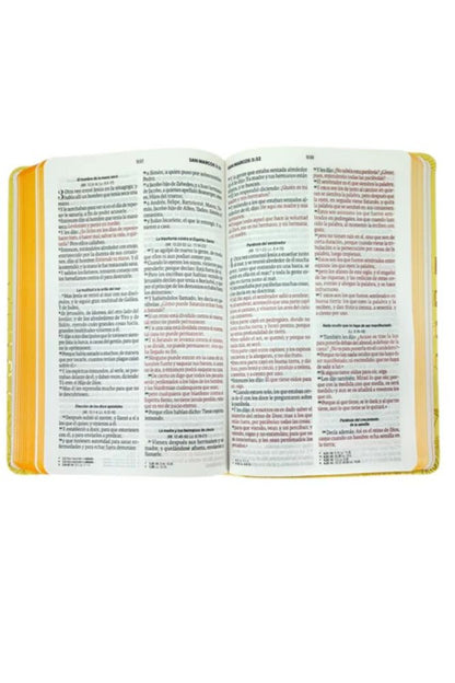 Biblia Obsequios Y Premios Rvr60C Amarillo Abejas