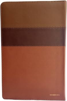 Biblia Tricolor café/café/marrón, RVR060