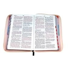 Biblia Manual L.Gigante, Rosa Multicolor, Cierre Indice, RVR1960