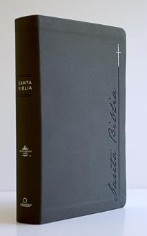 Biblia, Biblia Letra Grande, Simil Piel, Color Gris, Cantos Pintados, RVR1960