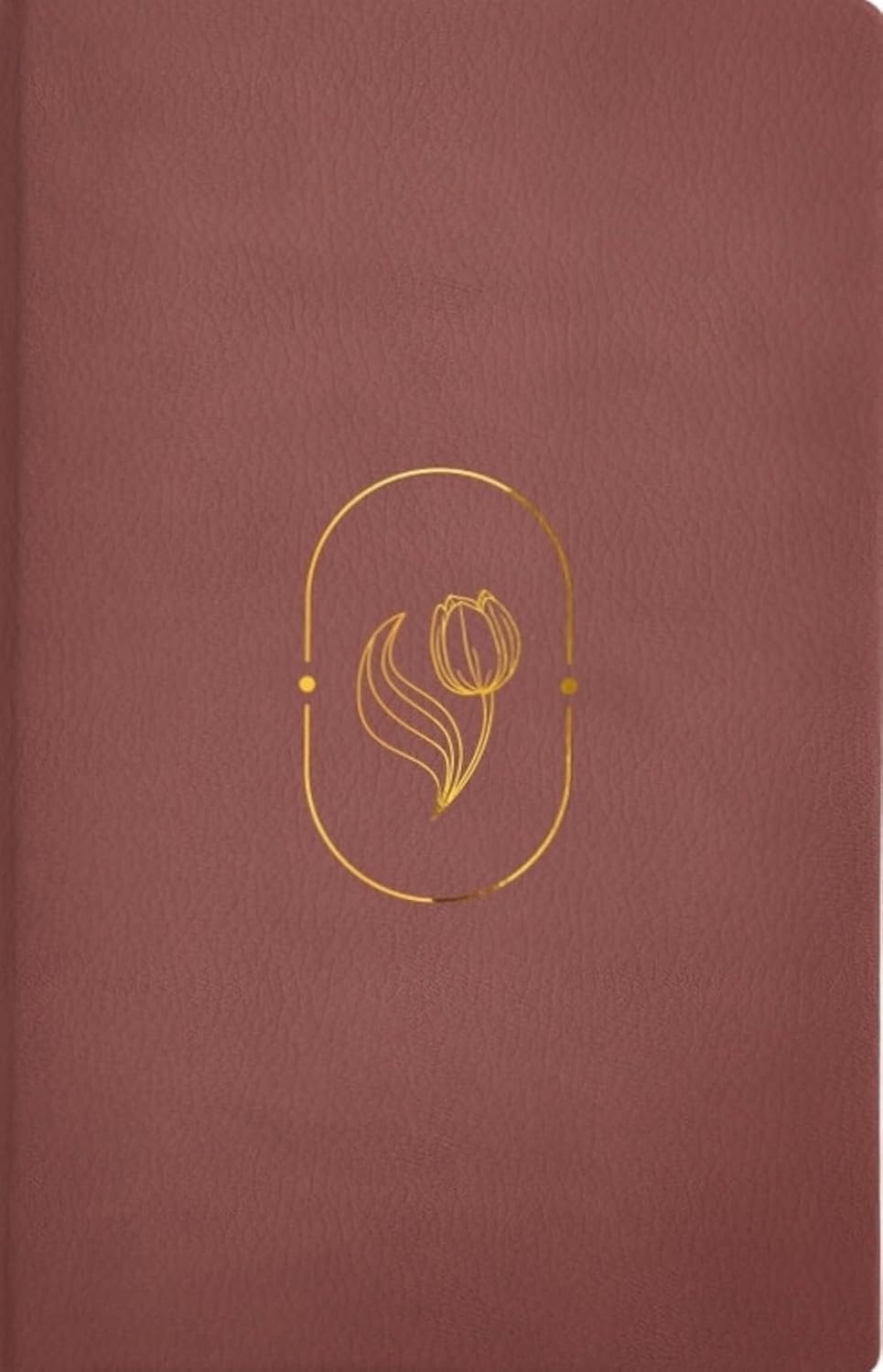 Biblia, Promesa Virtuosa, Letra gigante, Piel especial Rosa, RV60