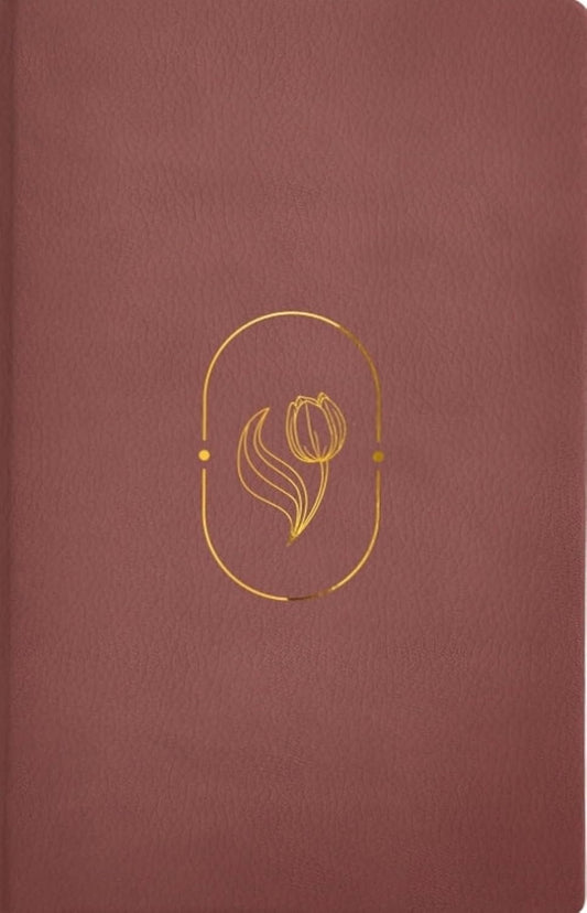 Biblia, Promesa Virtuosa, Letra gigante, Piel especial Rosa, RV60