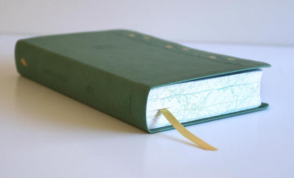 Biblia, Biblia Letra Grande, Simil Piel, Color Verde Con Pajaros, Version Cantos Pintados, RVR1960