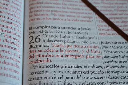 Biblia, Biblia Reina Valera, Letra Super Gigante, Simil Piel, Marron, RVC