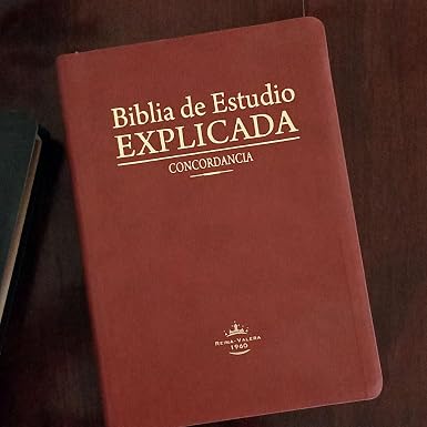 Biblia de estudio Explicada (Piel especial marrón claro)