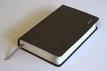 Biblia, Biblia Letra Grande, Simil Piel, Color Gris, Cantos Pintados, RVR1960