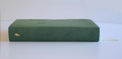Biblia, Biblia Letra Grande, Simil Piel, Color Verde Con Pajaros, Version Cantos Pintados, RVR1960