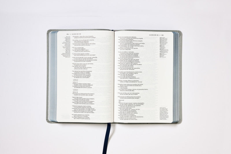 Biblia Texto Revisado 2022, Una Columna con Referencias, Piel Reciclada, Palabras de Jesús en Rojo, Gris, Comfort Print, NVI