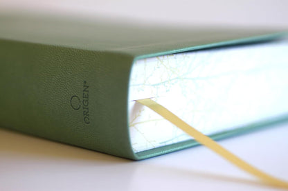 Biblia, Biblia Letra Grande, Simil Piel, Color Verde Con Pajaros, Version Cantos Pintados, RVR1960
