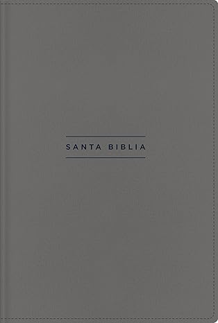 Biblia Texto Revisado 2022, Una Columna con Referencias, Piel Reciclada, Palabras de Jesús en Rojo, Gris, Comfort Print, NVI