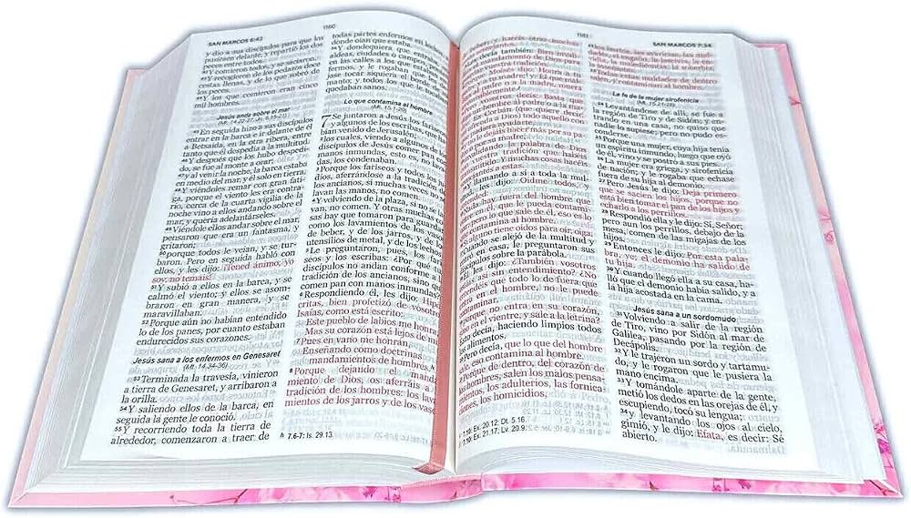Biblia Letra Grande 12.5 puntos Tamaño Manual Tapa RVR1960 Flex Flores Rosas