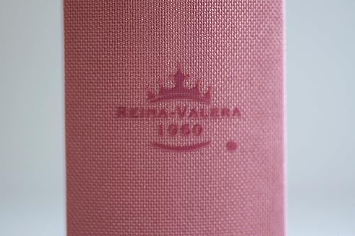 Biblia de Apuntes, (Piel Imitación), Tapa dura, Rosada con Flores, RVR1960