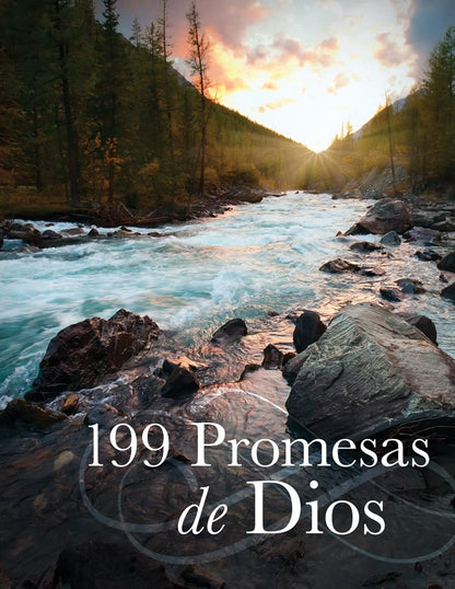 Libro 199 Promesas De Dios