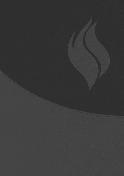 Biblia de Estudio Vida Plena - Ampliada y Actualizada (Imitación piel negro)