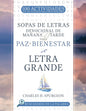 Libro De Actividades Sopas De Letras Devocional De Mañana Y Tarde Para Paz Y Bienestar