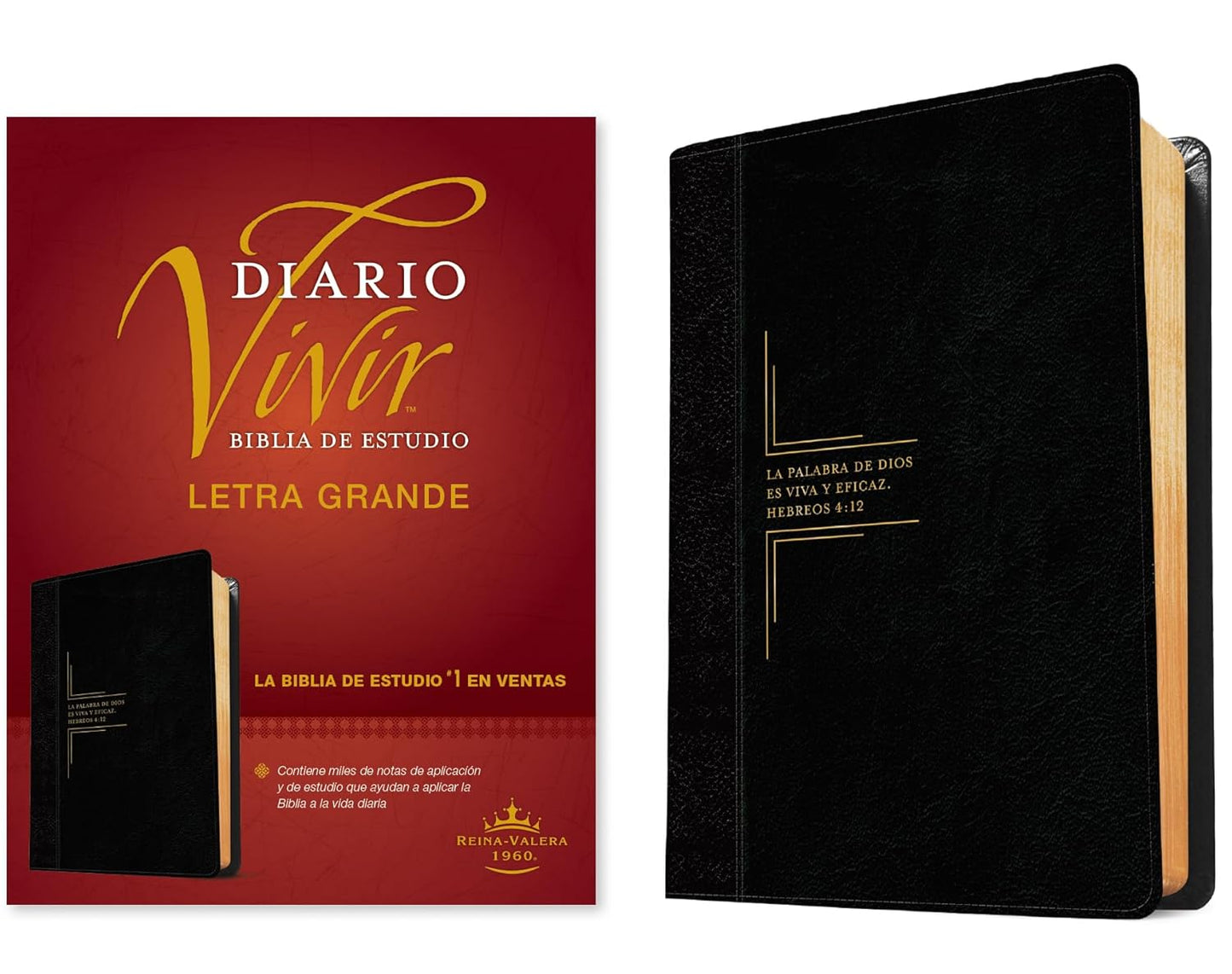Biblia De Estudio Del Diario Vivir, Letra Grande Senti Piel Negro Ónice, RVR 1960