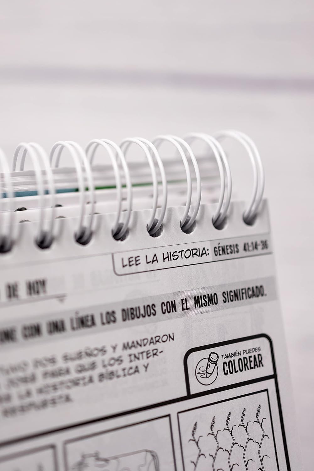 Libro Calendario 365 Actividades Para Niños