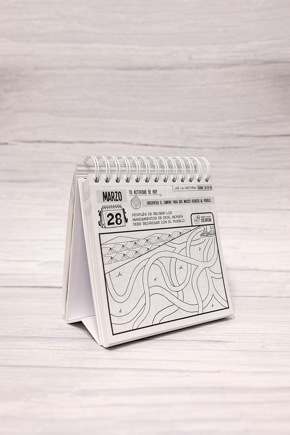 Libro Calendario 365 Actividades Para Niños