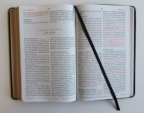 Biblia Letra Grande Tamaño Manual, Símil Piel León de Juda, RVR1960