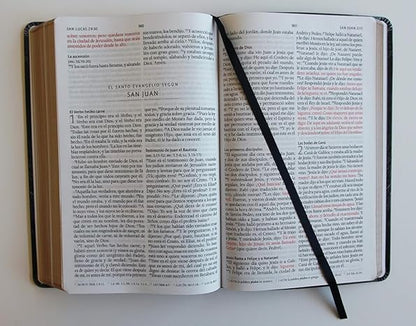 Biblia Letra Grande Tamaño Manual, Símil Piel León de Juda, RVR1960